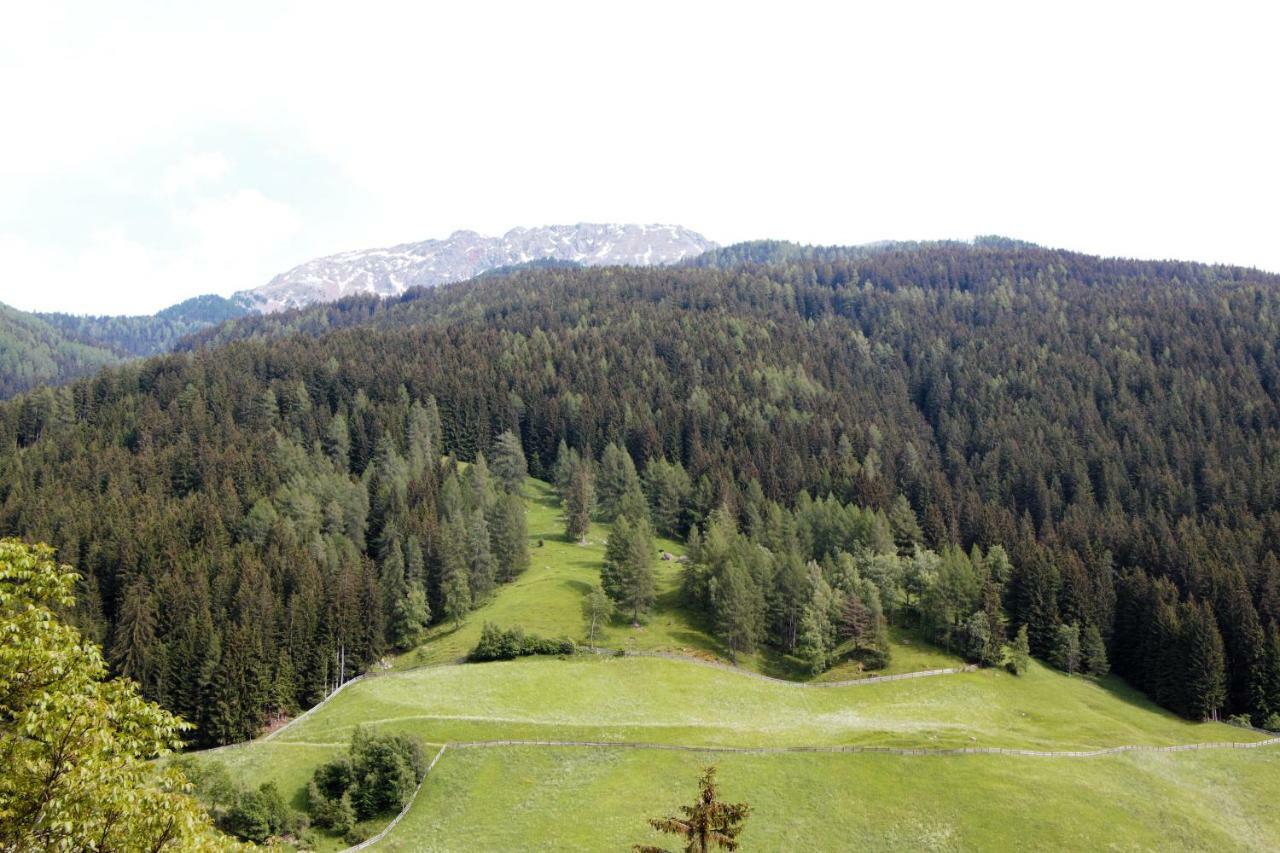 Schweinsteghof Urlaub Auf Dem Bauernhof Apartment Sarentino Ngoại thất bức ảnh
